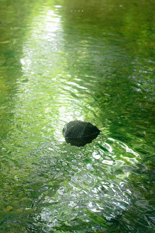 梦见一池子水_1