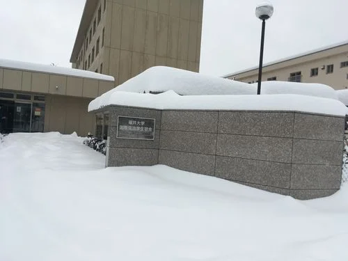 日本福井工业大学中国承认吗_1