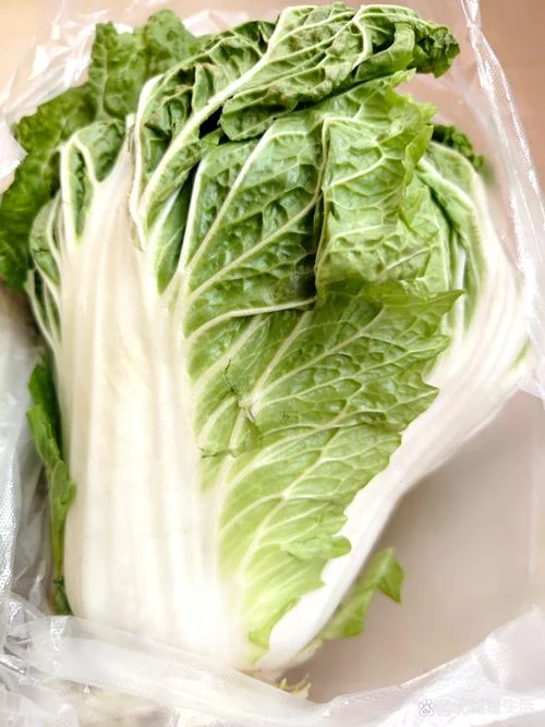 梦见塑料袋是什么意思-梦见塑料袋含义
