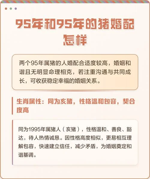 猪与什么属相配对_1