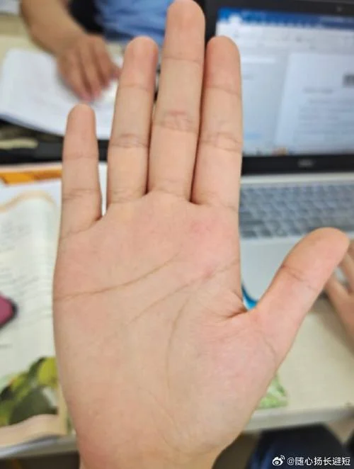 学霸的手相是什么样的_1