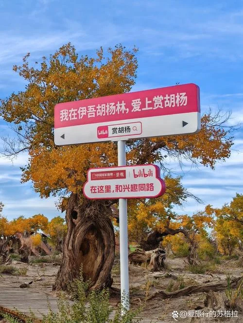 胡杨林文案-胡杨林文案精选