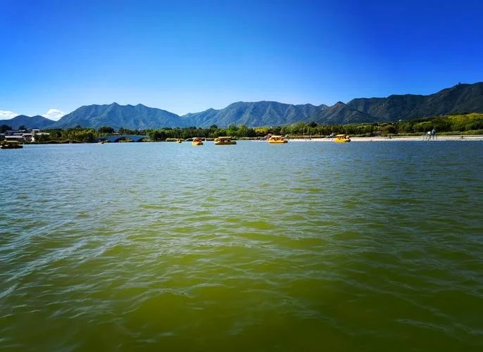 龙泉湖在哪里啊-龙泉湖在哪儿