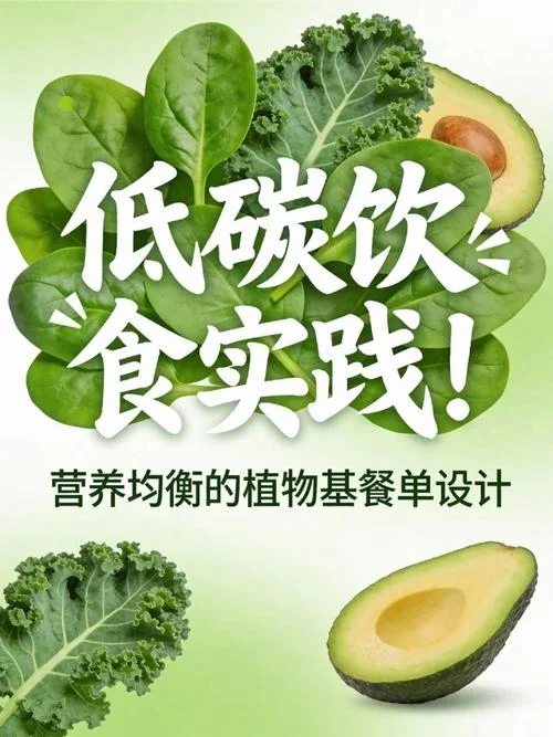 植物基饮食_2