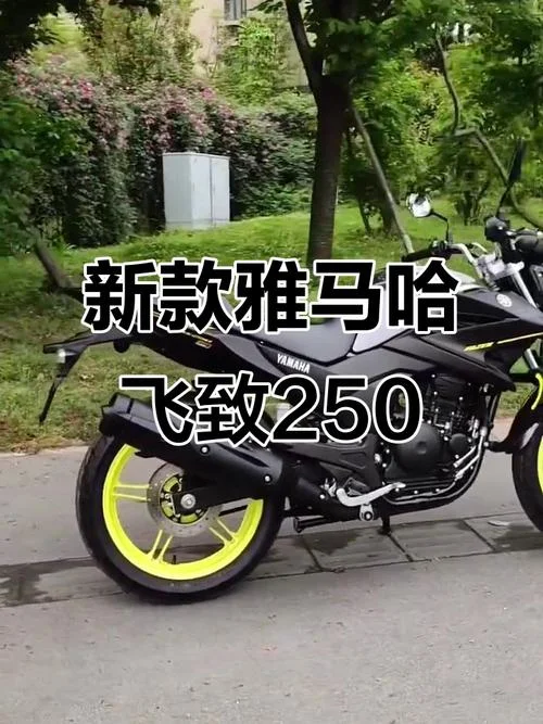 雅马哈飞致250多少钱_1