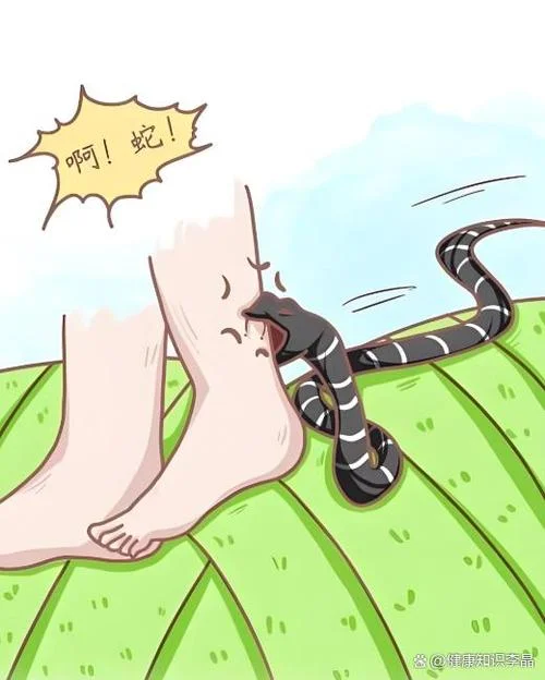 梦见蛇咬自己的腿出血_2