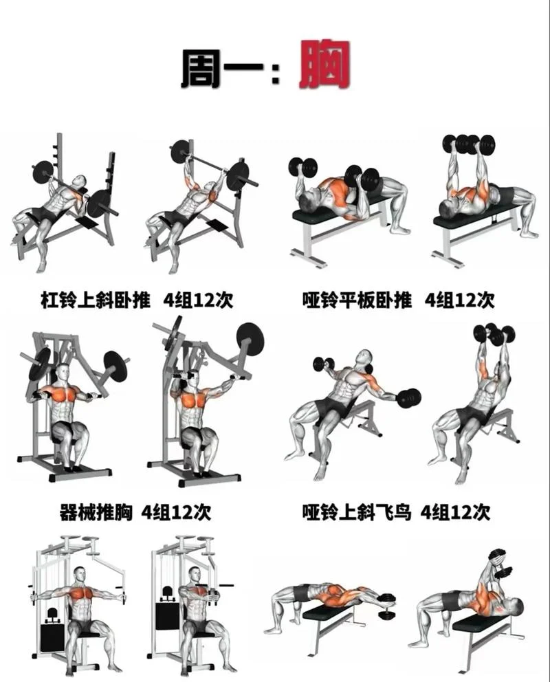 易持健健身器材怎么用_2