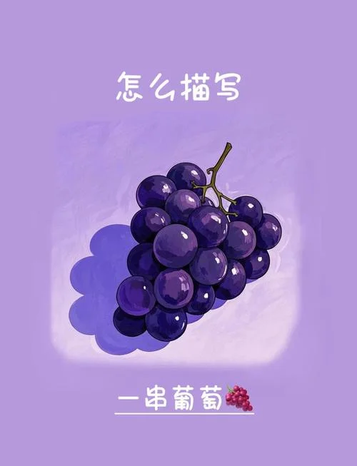 梦见摘成熟紫色的葡萄_2
