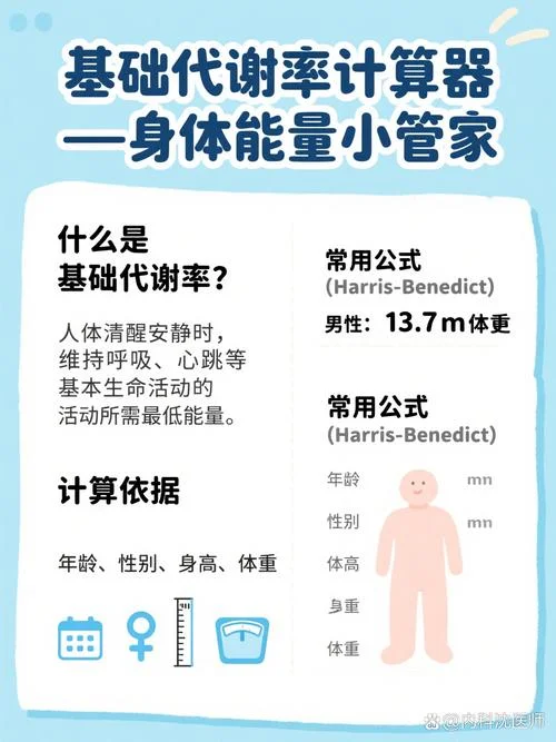 男性基础代谢率计算公式_2