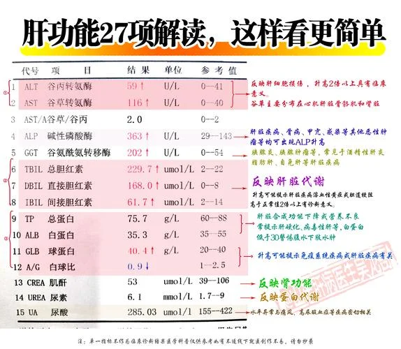 肝功能检查一次多少钱_2