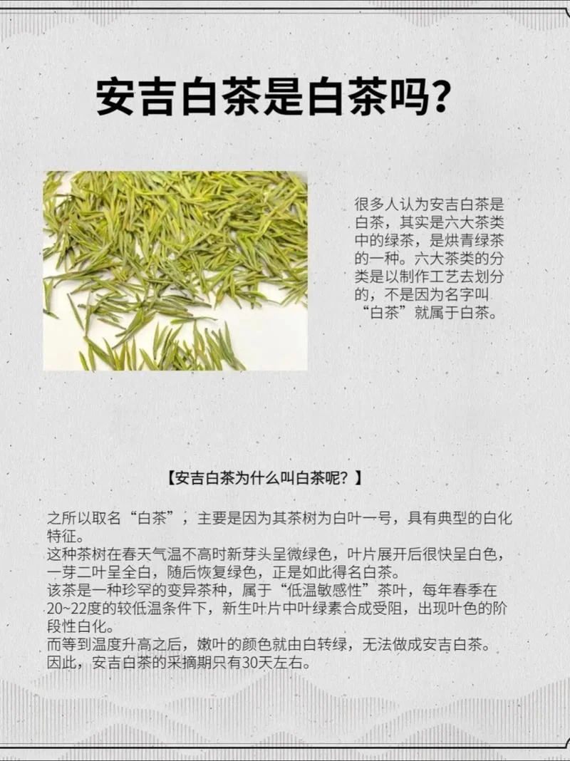 白茶品牌简介-白茶品牌概览