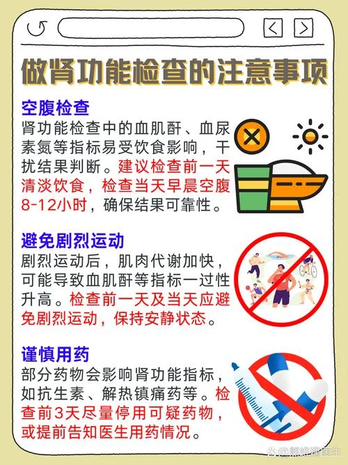 肾脏不好检查哪些项目-肾不好查哪些项目