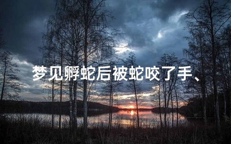 梦见手被蛇咬_2