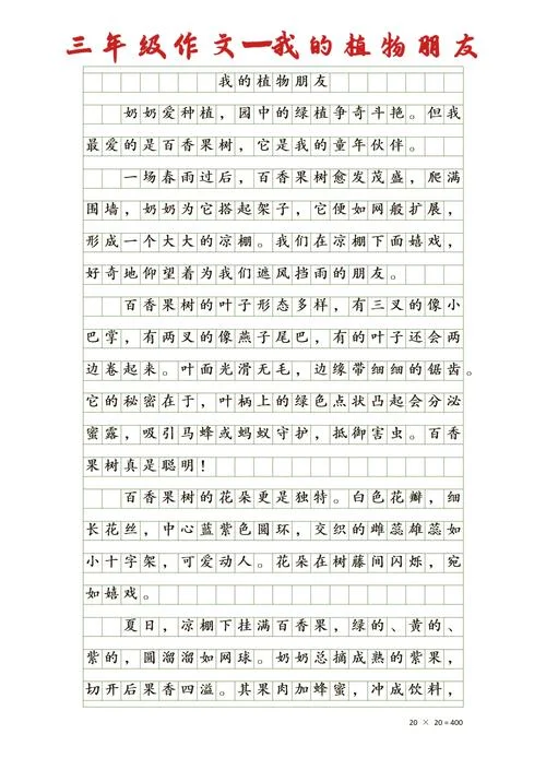 三年级写水果作文讲解-三年级水果作文详解