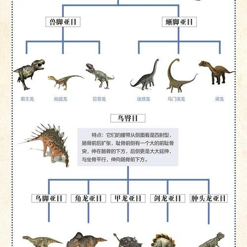 恐龙的分类介绍与图片-恐龙分类与图片