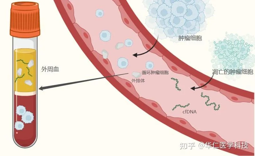 细胞检测师报考条件_1