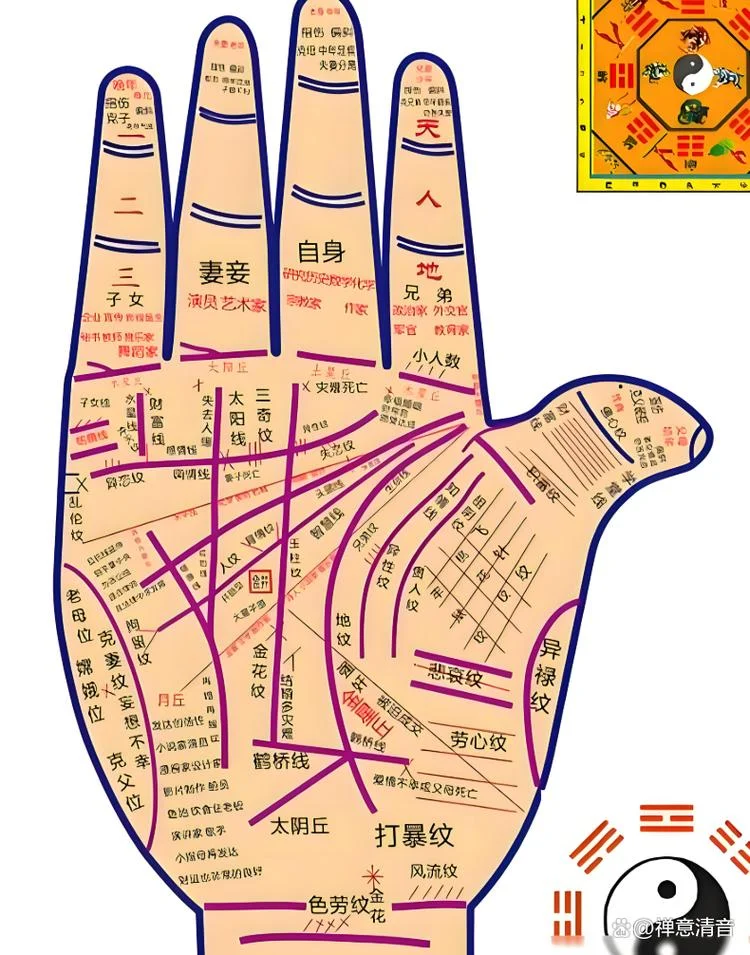 手相看寿命长短准吗-手相预测寿命不准