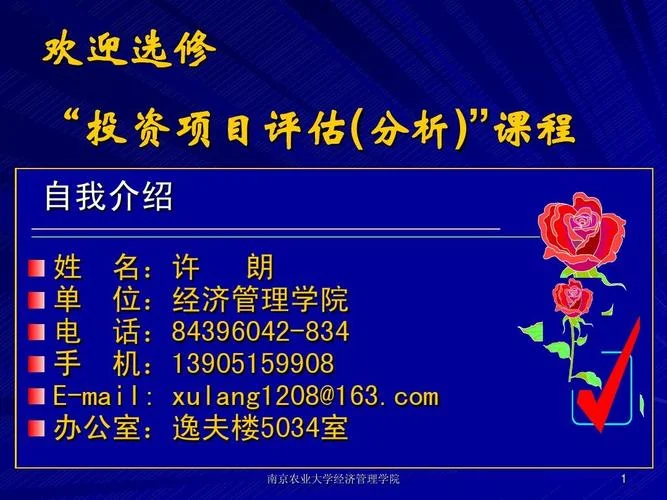 投资项目评估教学ppt_1