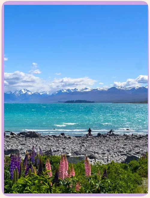 新西兰旅游景点的特色-新西兰旅游特色