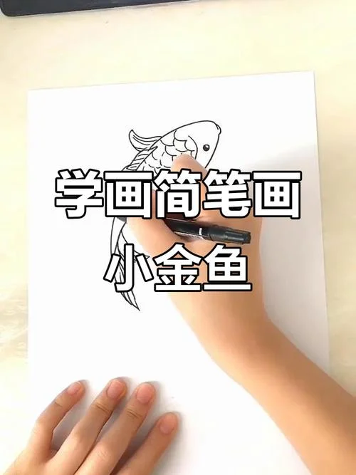 鱼怎么画的又简单又好_2