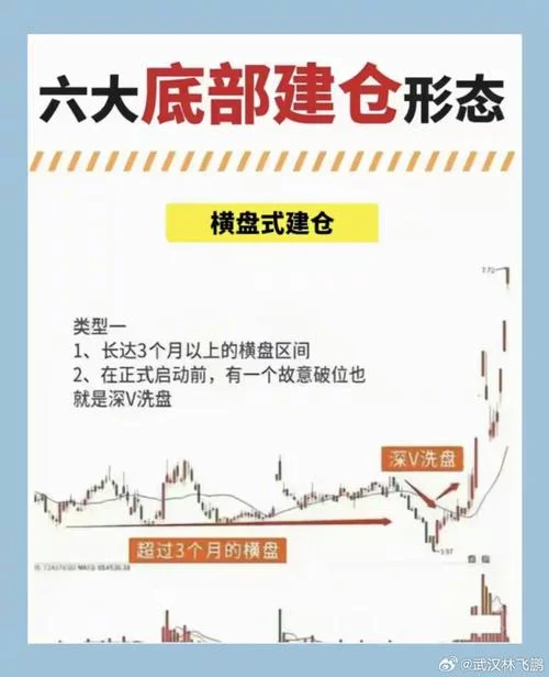主力建仓震仓指标公式_1