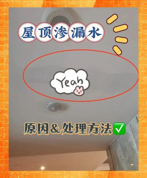 梦见水管流水水流满屋_1