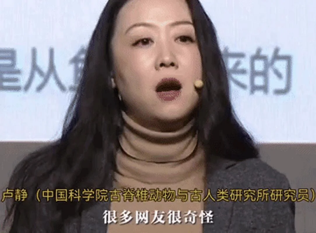 中科院卢静简介-中科院卢静简介