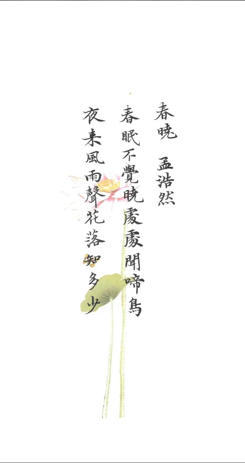 春眠不觉晓下一句搞笑-春眠不觉晓后笑