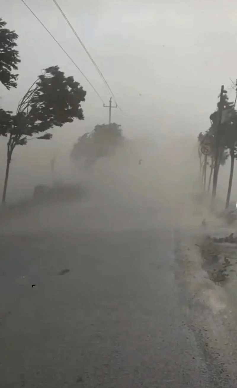 梦见大雨大风_2