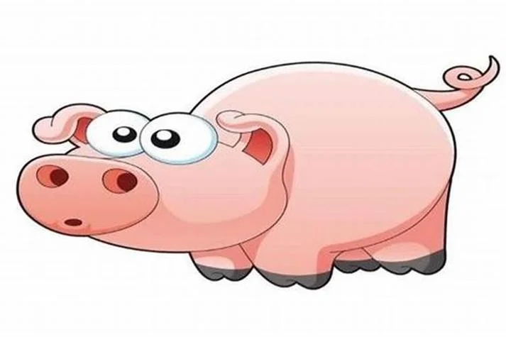 201年是属什么年_2