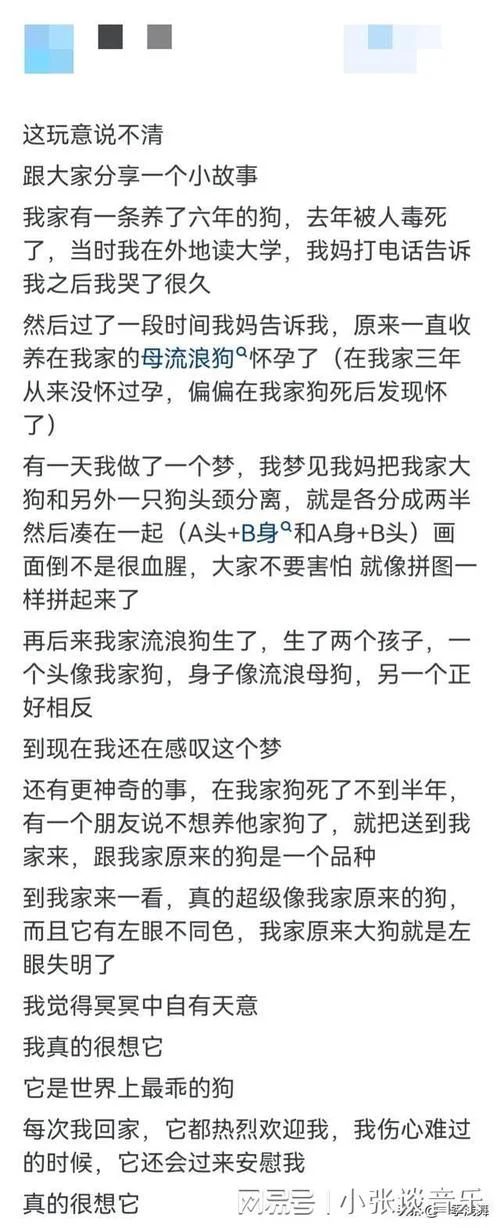 频繁的梦到老公出轨_2