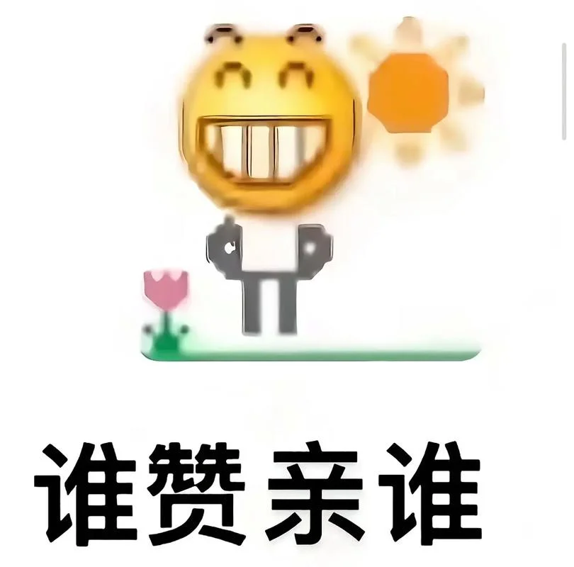 nice兄dei表情包出处-nice 表情包出处