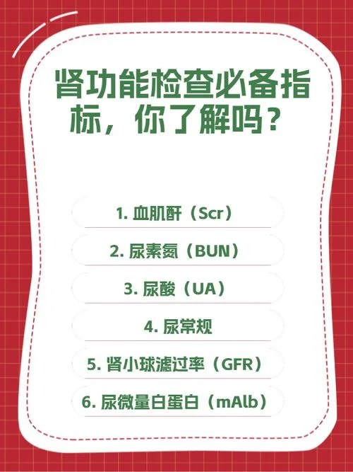 肾功能检查项目 八项_1