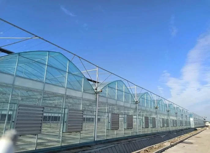 2021阿拉尔蔬菜大棚建设项目-2021 阿拉尔蔬菜大棚项目