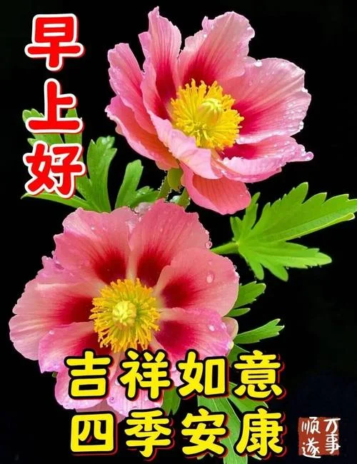 早上好最新漂亮图片祝福-清晨美图美好祝福
