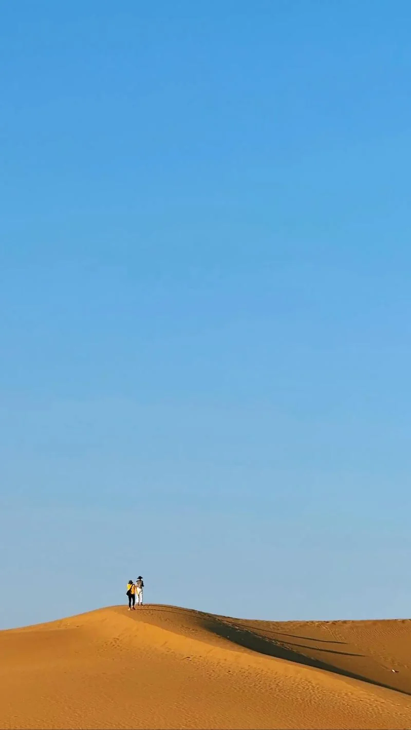 什么是旷野_1