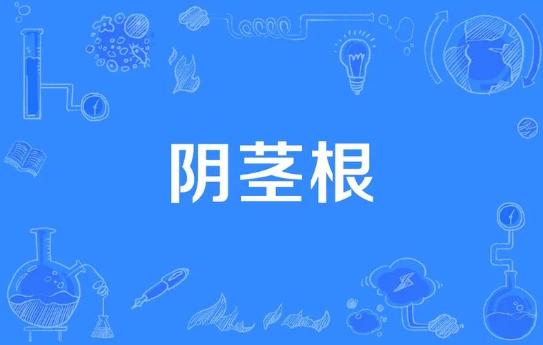 梦到阴茎_1