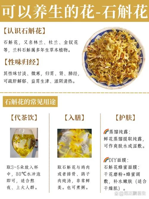 石斛的功能与作用介绍_2