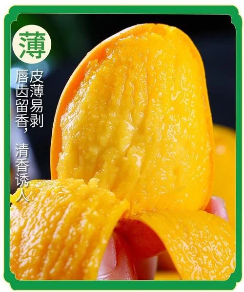 孕妇梦见芒果_1