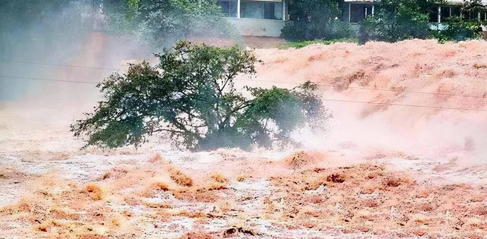 梦见涨洪水,水很浑浊_1