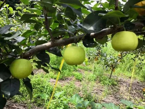芹阳中学_2