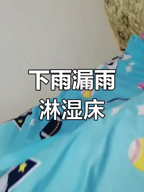 女人梦到下雨房子漏雨_2