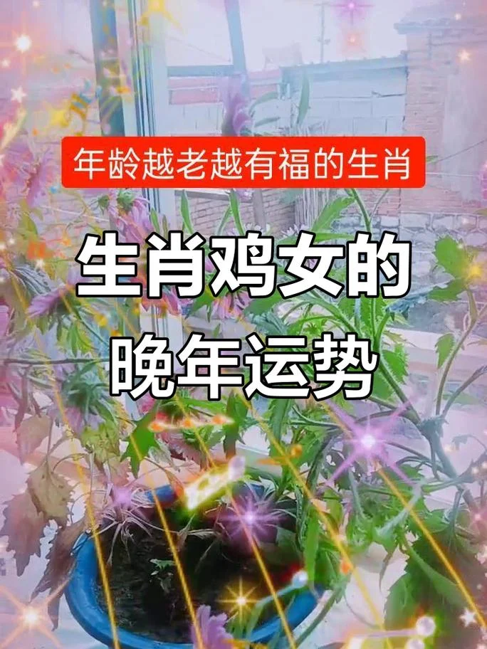 93年的鸡女2017年运势_2