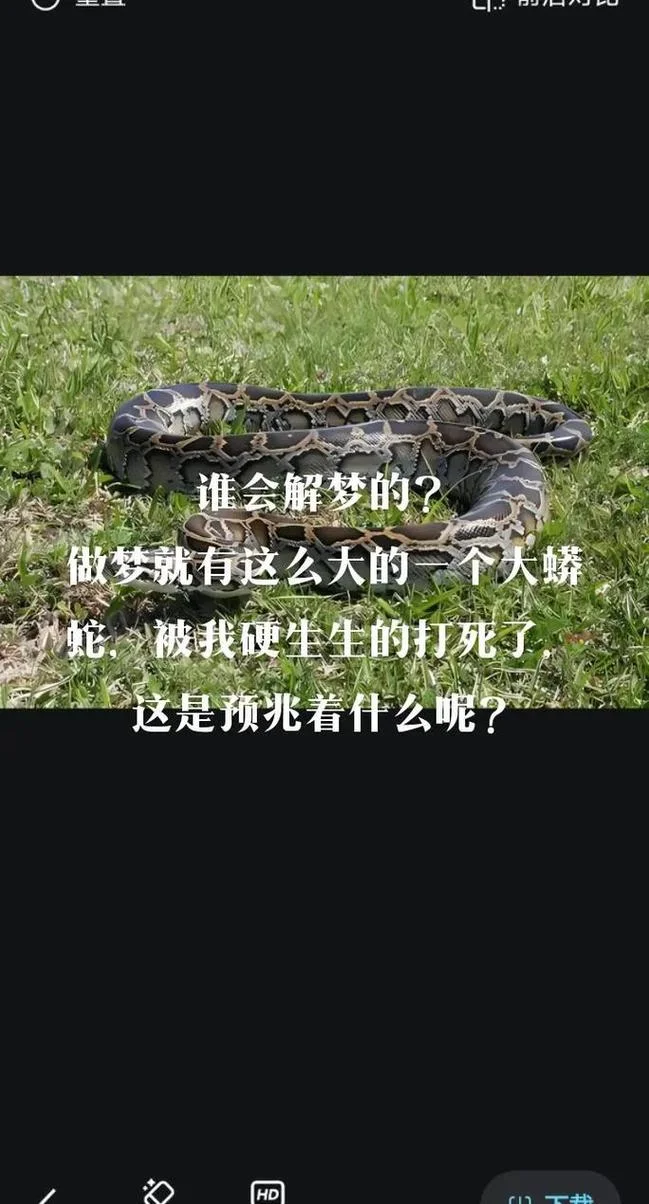 梦到蟒蛇是什么意思啊_1