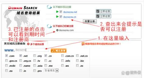 如何查一个网站的外链_2