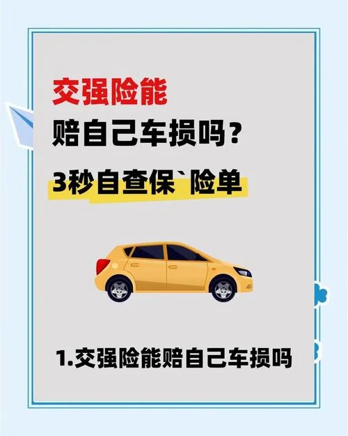 新车交强险什么时候买_2