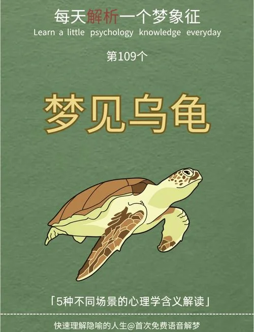 已婚女人梦见乌龟和蛇_1