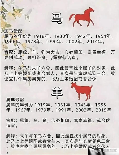 属相马和马婚配_2