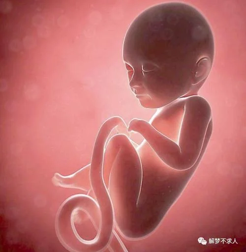 做梦梦到打算怀孕_2