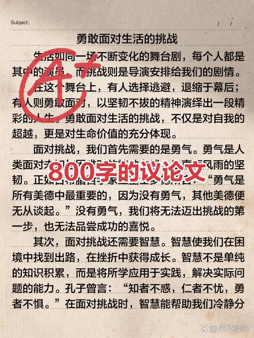 800字作文大全议论文_2